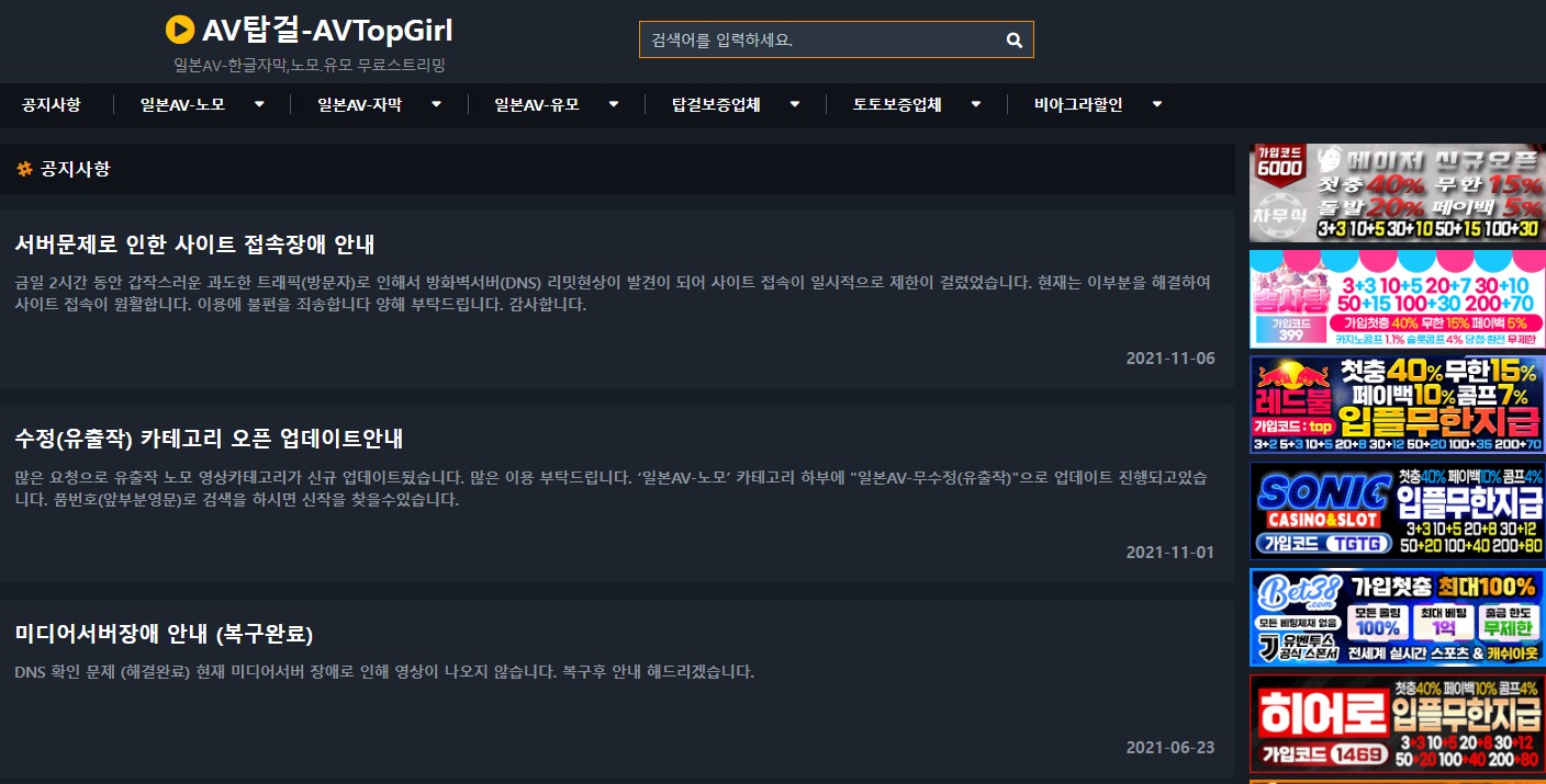 av탑걸 공지사항